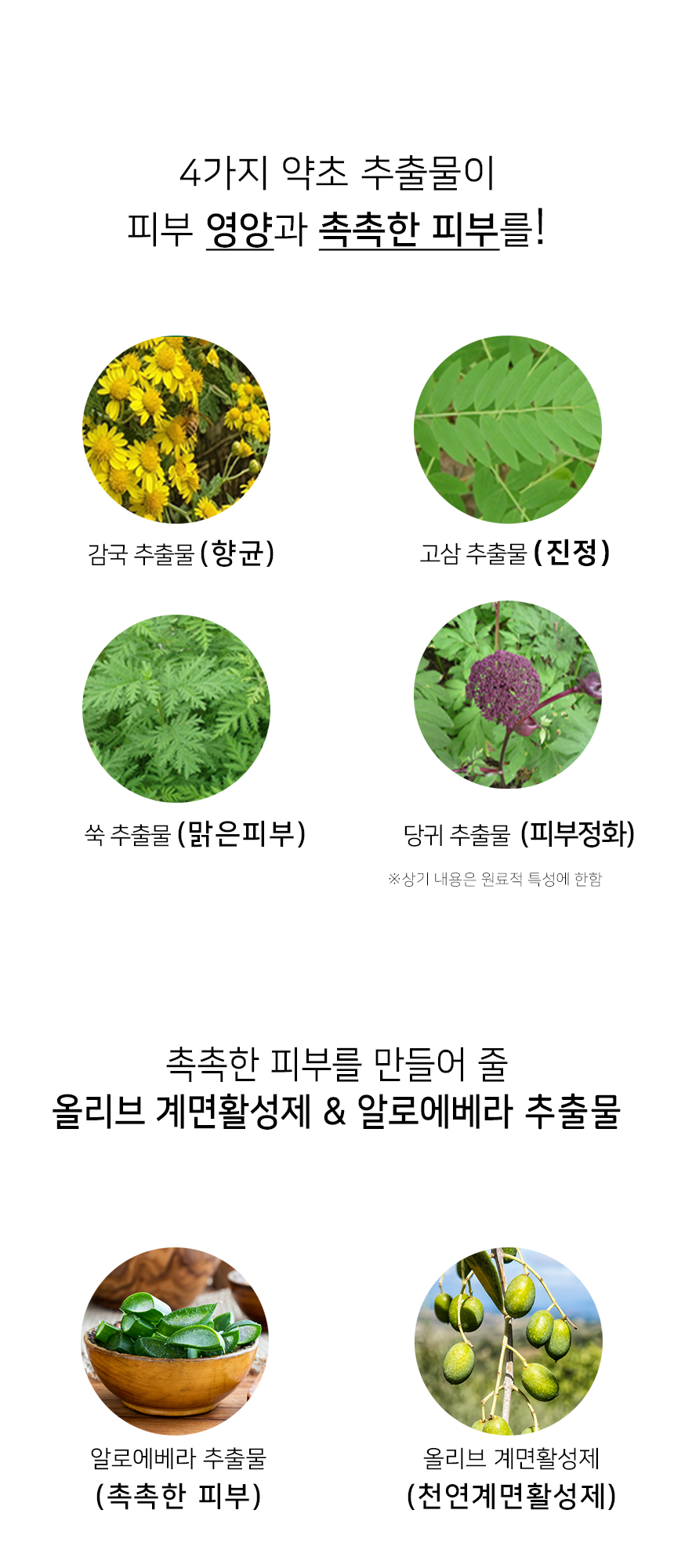韓國Pilling Bean咖啡喳喳濃密泡泡洗手液 150g+500g