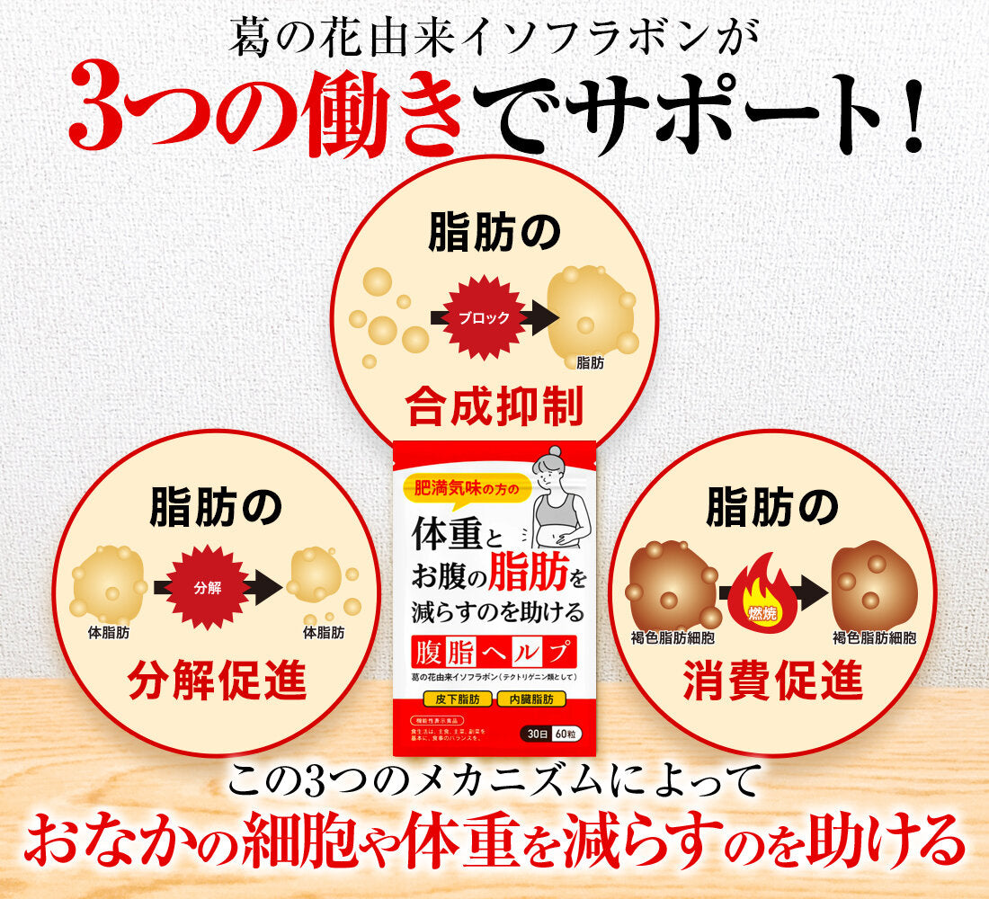 DUEN - 日本製減肥補充品 葛花萃取 腹部皮下內在脂肪 30日分60粒